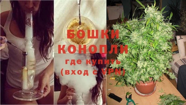 ПСИЛОЦИБИНОВЫЕ ГРИБЫ Арсеньев