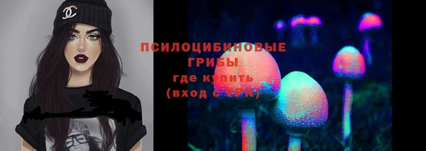 эйфоретик Армянск