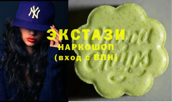 шишки Новодвинск