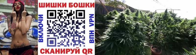 Шишки марихуана VHQ  что такое   Дыгулыбгей 